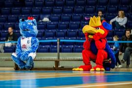 Elabika stroje reklamowe Wilk Blue King Wilki Morskie Szczecin
