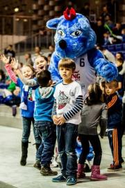 Elabika stroje reklamowe Wilk Blue King Wilki Morskie Szczecin