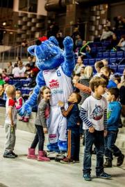 Elabika stroje reklamowe Wilk Blue King Wilki Morskie Szczecin