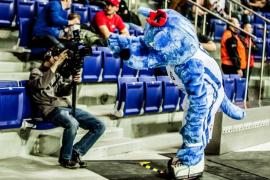 Elabika stroje reklamowe Wilk Blue King Wilki Morskie Szczecin