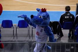 Elabika stroje reklamowe Wilk Blue King Wilki Morskie Szczecin