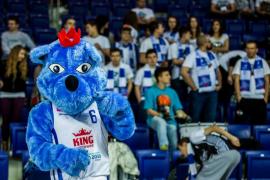 Elabika stroje reklamowe Wilk Blue King Wilki Morskie Szczecin
