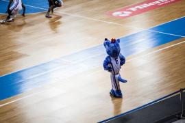 Elabika stroje reklamowe Wilk Blue King Wilki Morskie Szczecin
