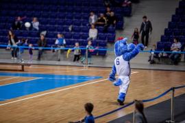 Elabika stroje reklamowe Wilk Blue King Wilki Morskie Szczecin