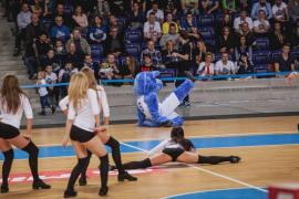 Elabika stroje reklamowe Wilk Blue King Wilki Morskie Szczecin