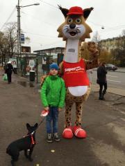 Elabika stroje reklamowe Ryś SuperBus.com