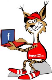 Elabika stroje reklamowe Ryś SuperBus.com