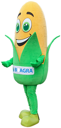 Elabika chodzące maskotki producent Kukurydza Bioagra