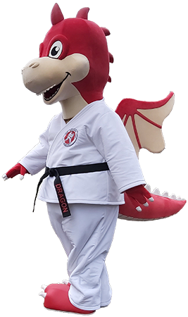 Kostium reklamowy Smok UKS Akademia Judo Dragon