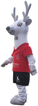 Strój reklamowy Jeleń Lubelskie Lubelska Unia Sportu