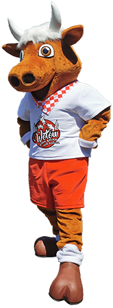 Strój reklamowy w kształcie wołu Wół z Wołowa